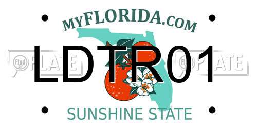 LDTR01 Florida License Plate
