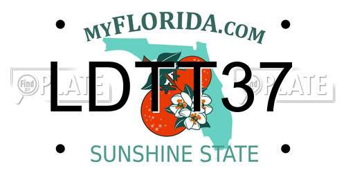 LDTT37 Florida License Plate