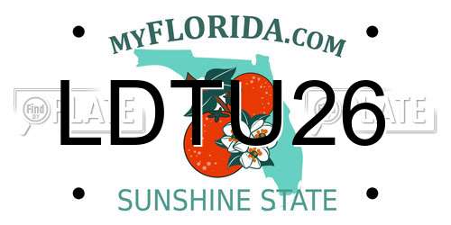 LDTU26 Florida License Plate