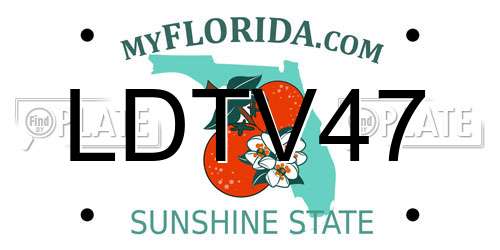 LDTV47 Florida License Plate