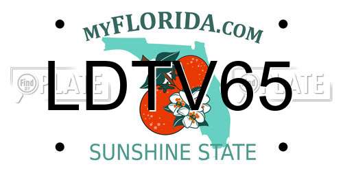 LDTV65 Florida License Plate