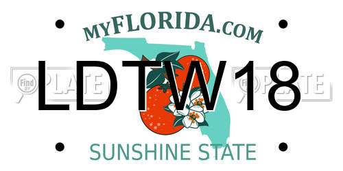 LDTW18 Florida License Plate