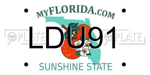 LDU91 Florida License Plate