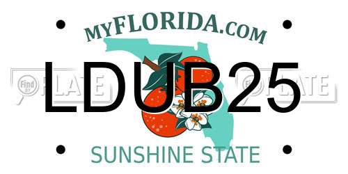 LDUB25 Florida License Plate