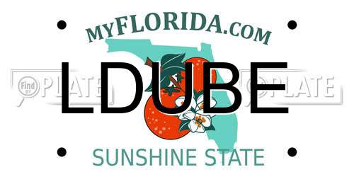 LDUBE Florida License Plate