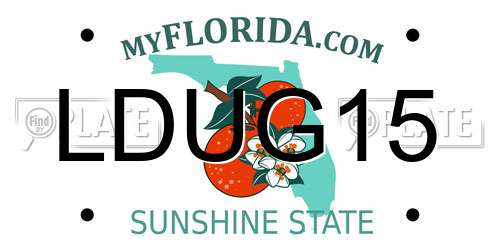 LDUG15 Florida License Plate