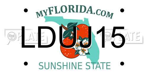 LDUJ15 Florida License Plate