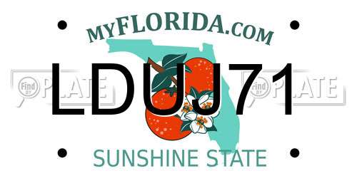 LDUJ71 Florida License Plate