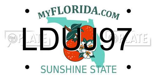 LDUJ97 Florida License Plate