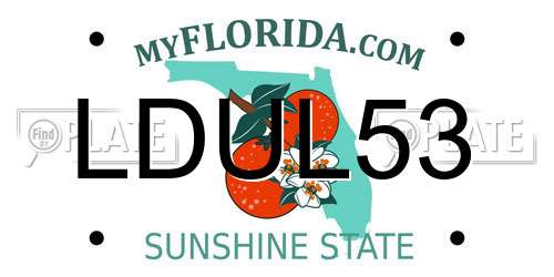 LDUL53 Florida License Plate