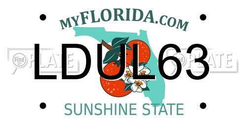 LDUL63 Florida License Plate