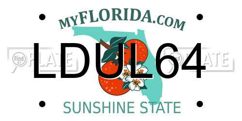 LDUL64 Florida License Plate