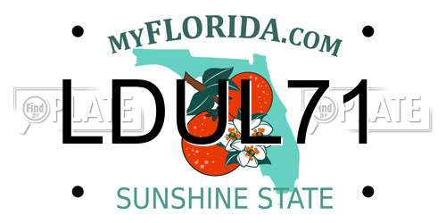 LDUL71 Florida License Plate
