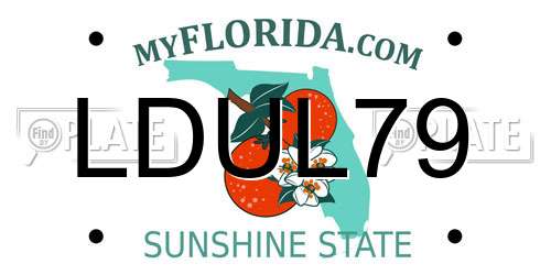 LDUL79 Florida License Plate