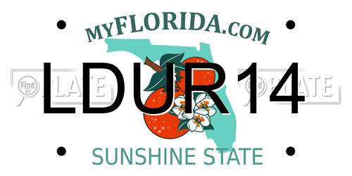 LDUR14 Florida License Plate