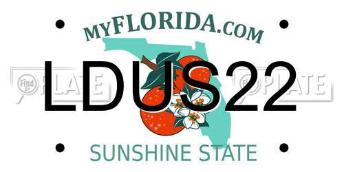 LDUS22 Florida License Plate