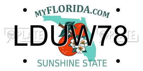 LDUW78 Florida License Plate