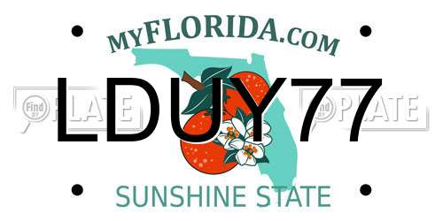 LDUY77 Florida License Plate