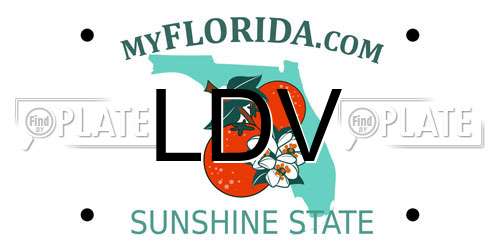 LDV Florida License Plate