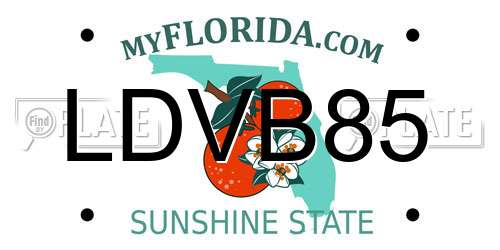 LDVB85 Florida License Plate