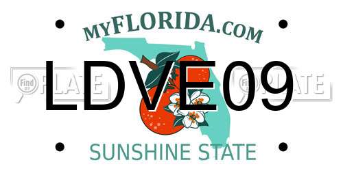 LDVE09 Florida License Plate