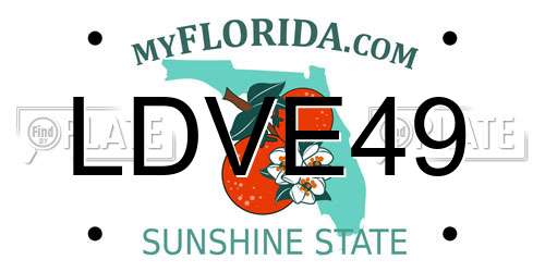 LDVE49 Florida License Plate