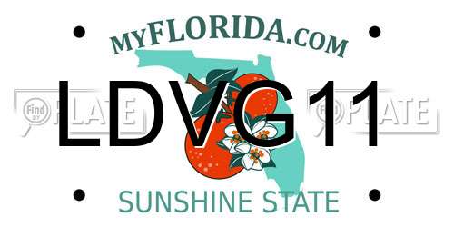 LDVG11 Florida License Plate