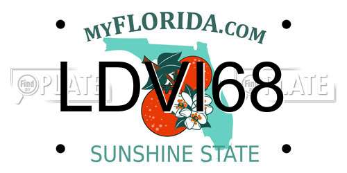 LDVI68 Florida License Plate