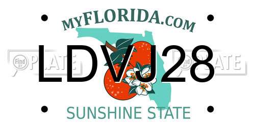 LDVJ28 Florida License Plate
