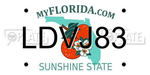 LDVJ83 Florida License Plate
