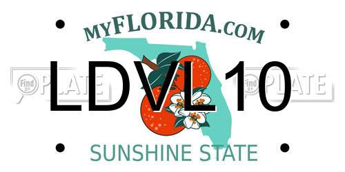 LDVL10 Florida License Plate