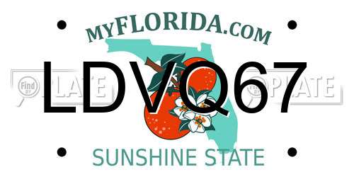 LDVQ67 Florida License Plate