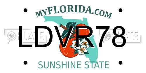 LDVR78 Florida License Plate