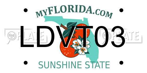 LDVT03 Florida License Plate