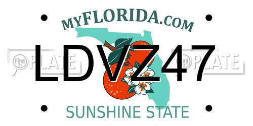 LDVZ47 Florida License Plate
