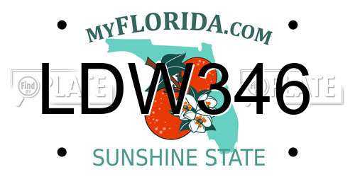 LDW346 Florida License Plate