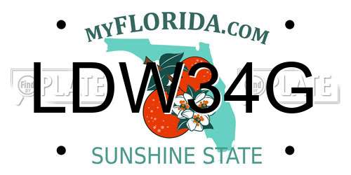 LDW34G Florida License Plate