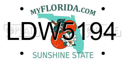 LDW5194 Florida License Plate