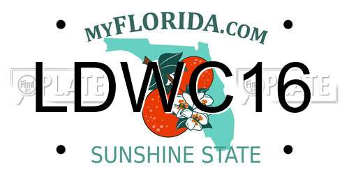 LDWC16 Florida License Plate