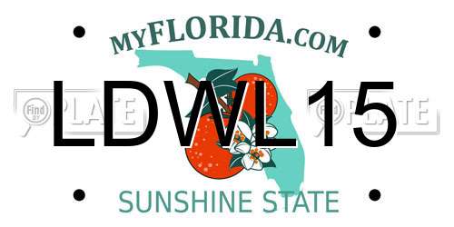 LDWL15 Florida License Plate