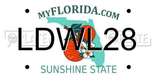 LDWL28 Florida License Plate