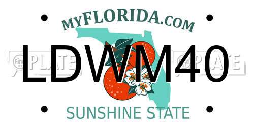 LDWM40 Florida License Plate