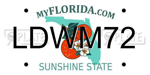 LDWM72 Florida License Plate
