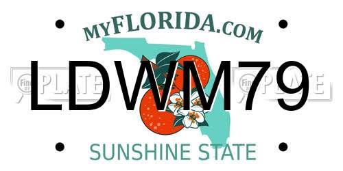 LDWM79 Florida License Plate