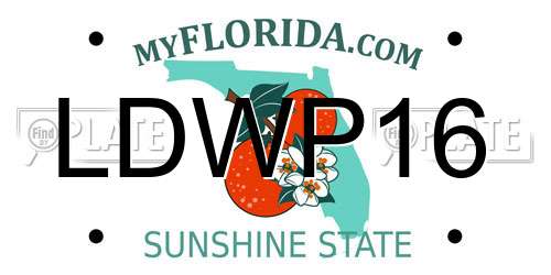 LDWP16 Florida License Plate