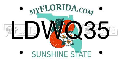 LDWQ35 Florida License Plate