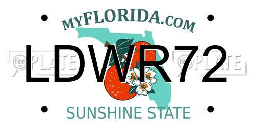 LDWR72 Florida License Plate