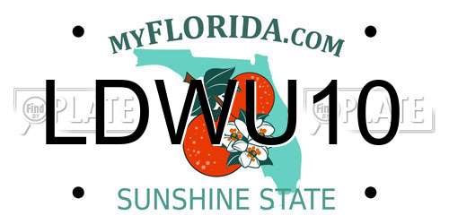 LDWU10 Florida License Plate