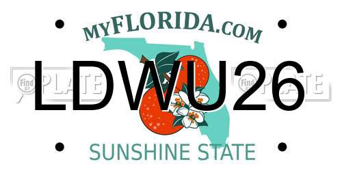 LDWU26 Florida License Plate