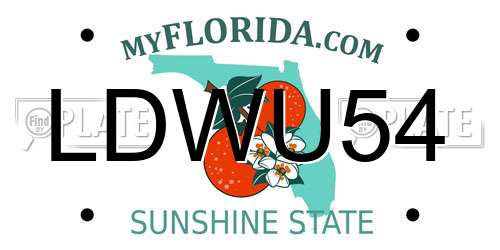 LDWU54 Florida License Plate